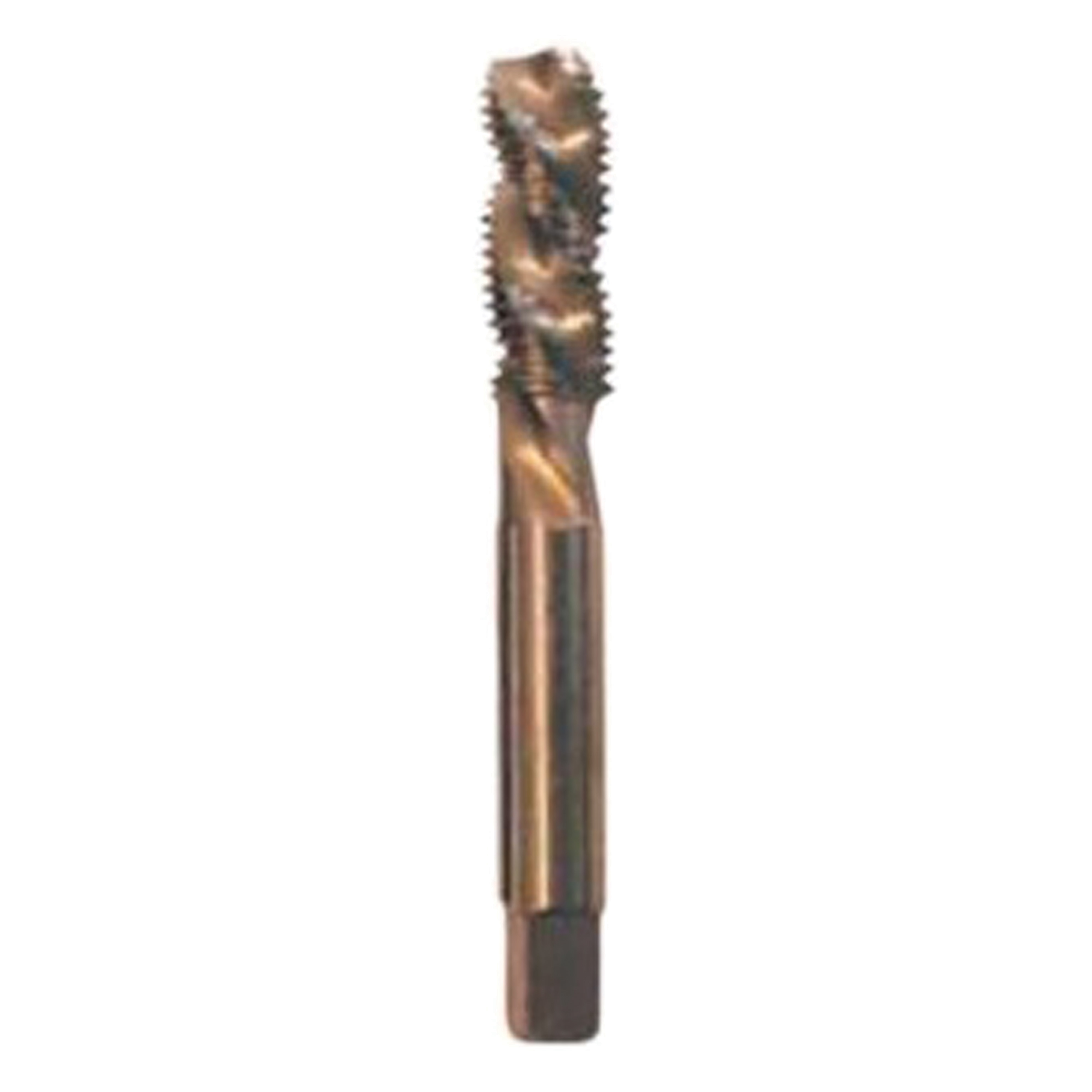 Drill America 5/16"-48 UNS High Speed Steel Plug Tap, Pack of 1 
